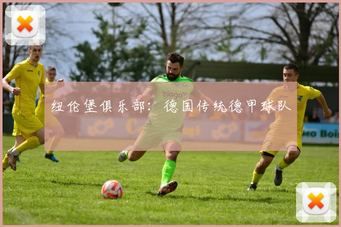 纽伦堡俱乐部:德国传统德甲球队