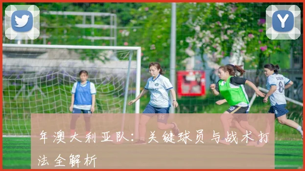 年澳大利亚队：关键球员与战术打法全解析