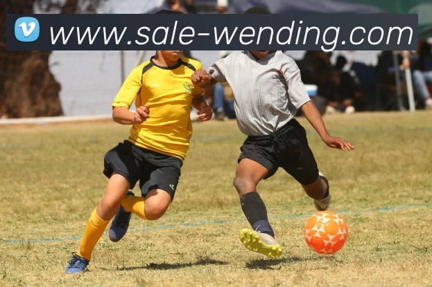 问鼎娱乐appAPP 体育赛事宣传图